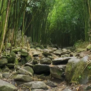 Hikers trekking along a volcanic mountain trail