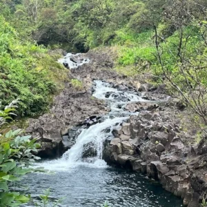 Travelers participating in sustainable tourism activities on island