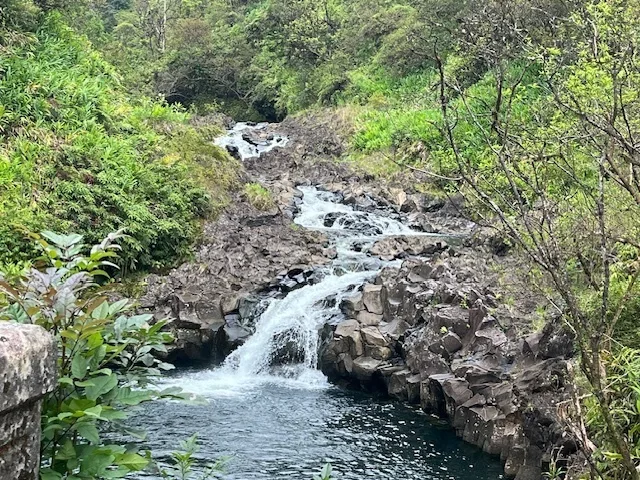 Travelers participating in sustainable tourism activities on island