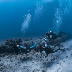 Two tank shallow reef scuba dive for beginners and certified divers