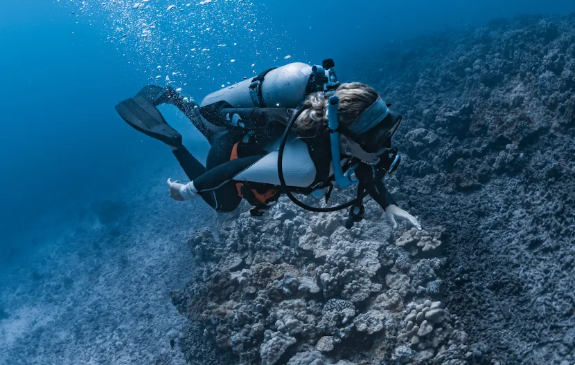 Small group experiencing a two-tank scuba diving session