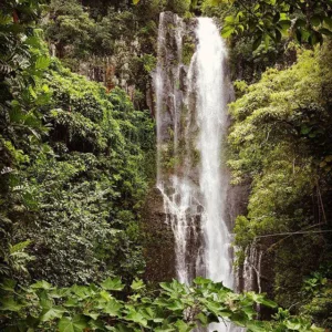 Scenic view of Hana coastline on deluxe island tour
