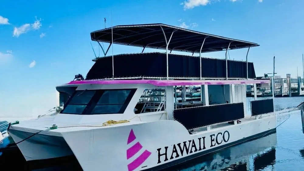 Fireworks exploding over Waikiki during Friday night cruise