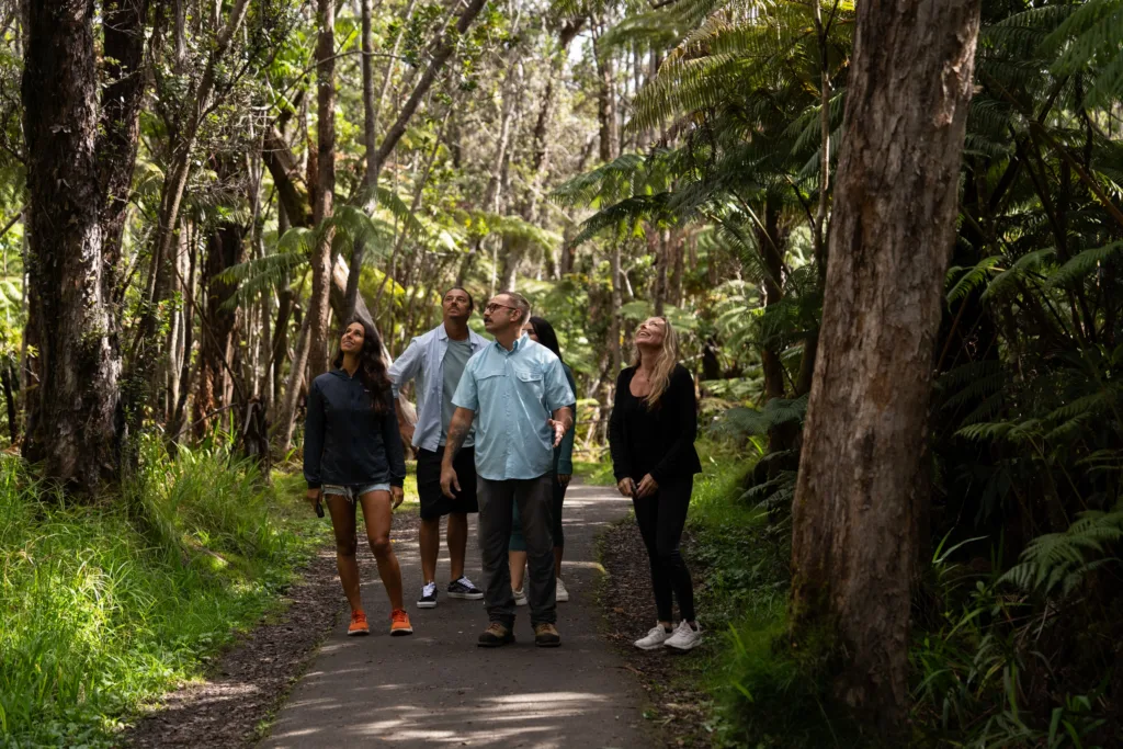 Waterfall cascading through lush greenery in Big Island’s wilderness