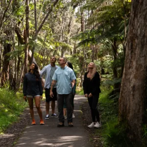 Waterfall cascading through lush greenery in Big Island’s wilderness