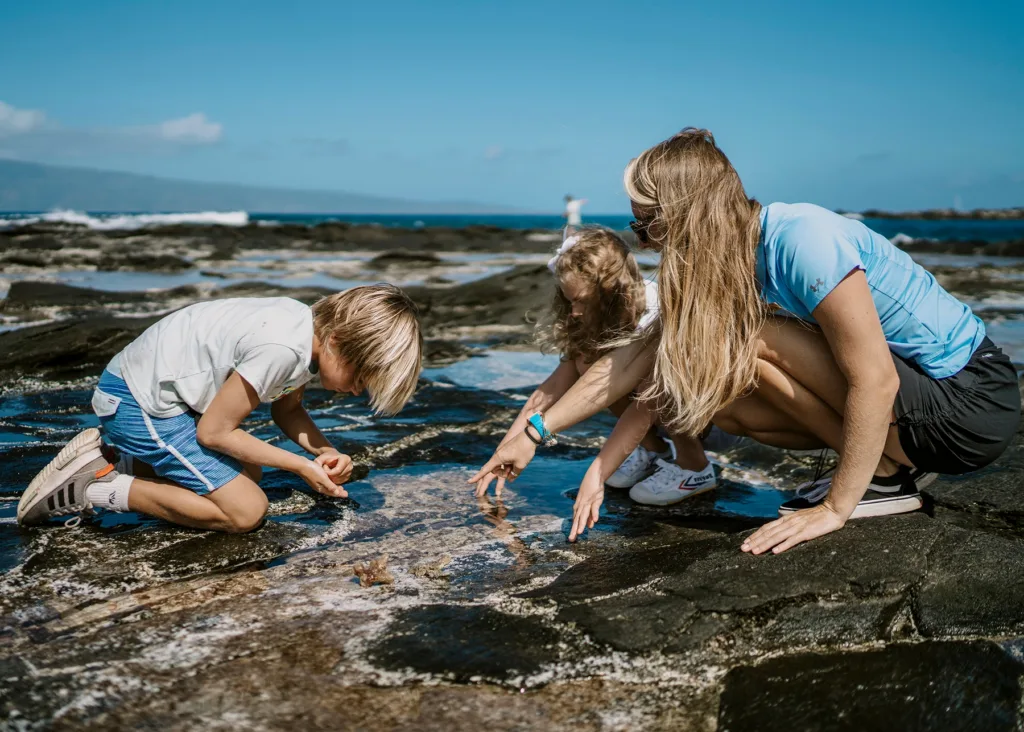 Colorful coral reef teeming with diverse sea life