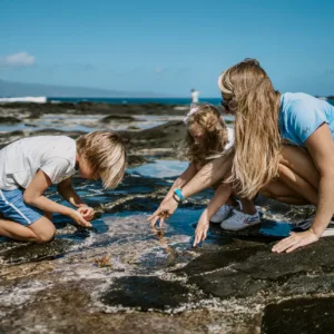 Colorful coral reef teeming with diverse sea life
