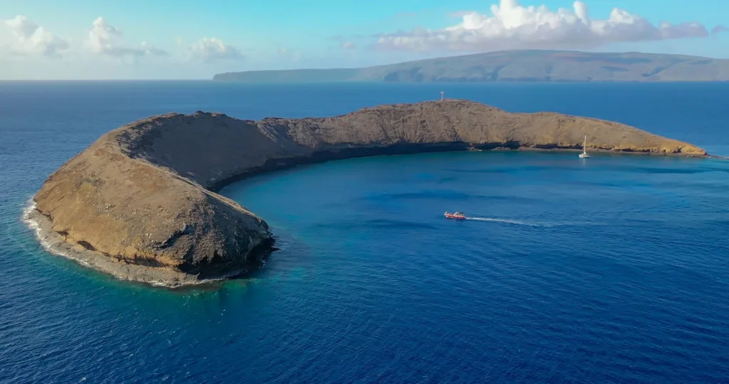 Snorkeling trip to Molokini Crater and Turtle Town