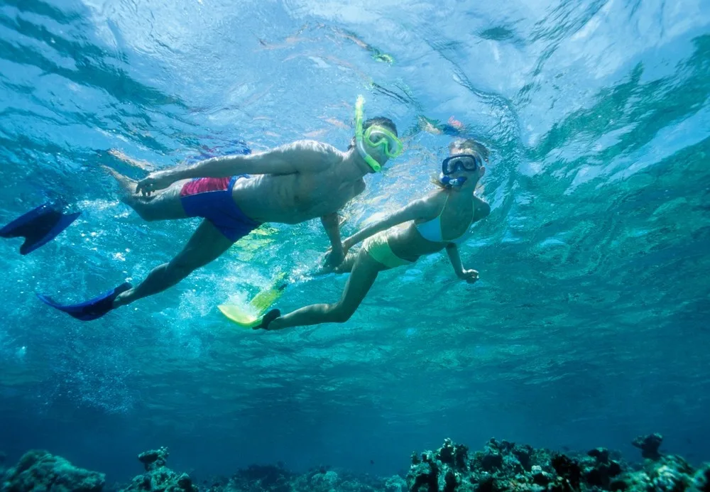 People snorkeling near colorful coral reefs in Waikiki