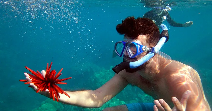 Private kayak and snorkeling trip with whale watching