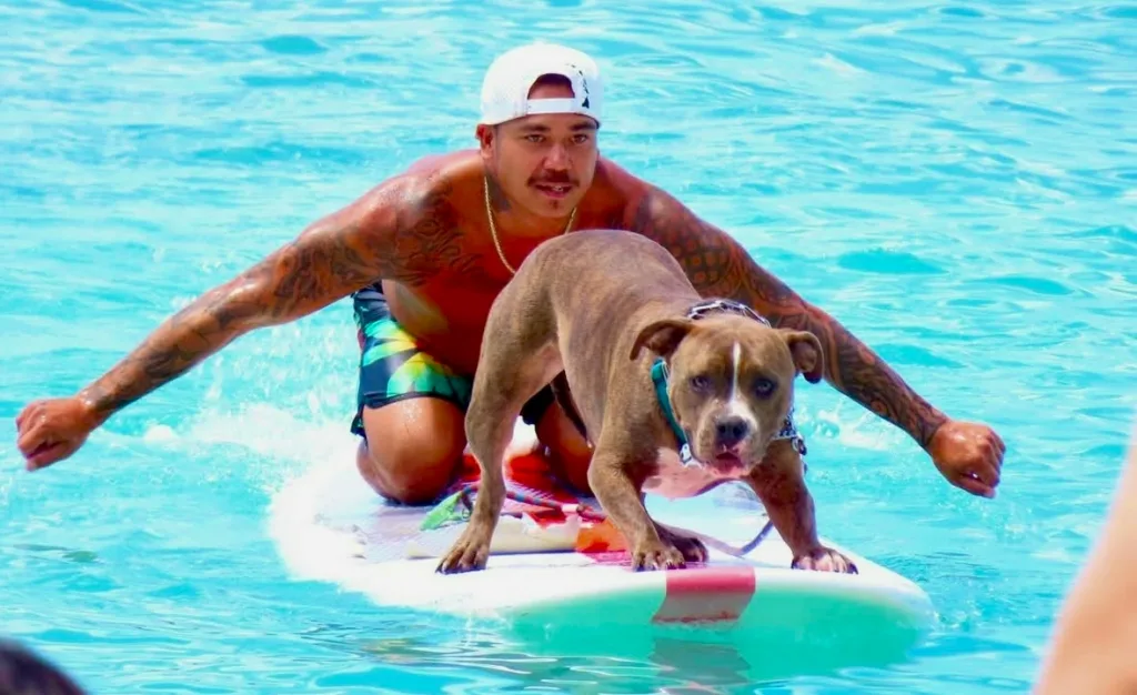 Students learning to surf at King Kamalu Surf School in Waikiki