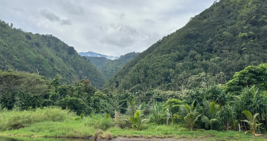 Hikers walking along a scenic trail halfway to Hana waterfall