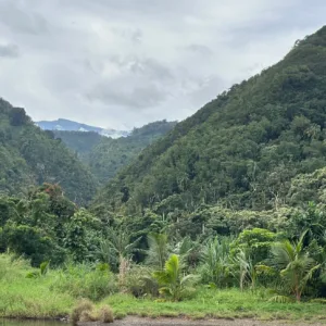 Hikers walking along a scenic trail halfway to Hana waterfall