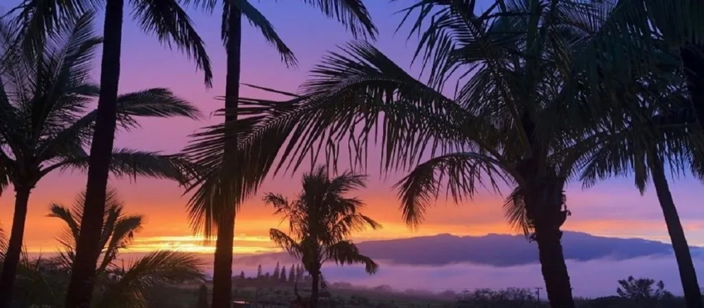 Volunteers planting native trees during earth repair project