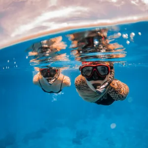 Tourists snorkeling near coral reefs during Maui and Lana'i tour