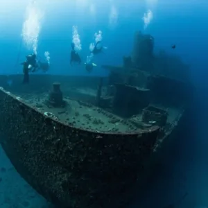 Diver exploring a colorful underwater shipwreck