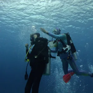 Navigator plotting a course on a scuba diving boat