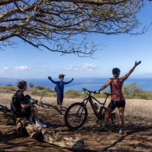 Comprehensive island tour offering a full experience of highlights