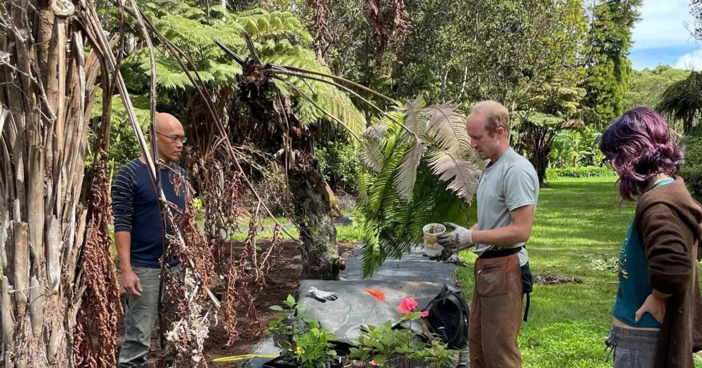 Visitors exploring lush Hawaii forest farms on tour