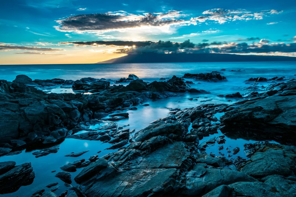 Nighttime wildlife tour exploring creatures active after dark