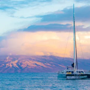 Snorkelers exploring vibrant coral reefs at sunrise near Haleakala