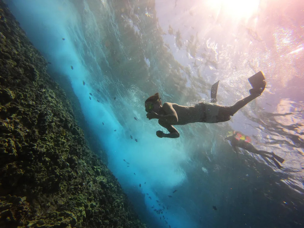 Deluxe snorkeling tour exploring Haleakala marine life