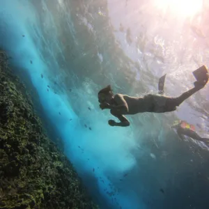 Deluxe snorkeling tour exploring Haleakala marine life