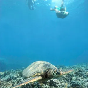Private snorkel and beach package with clear waters