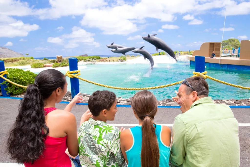 Standard island tour offering scenic and cultural stops