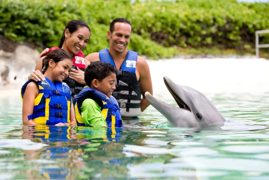 Ocean excursion focused on dolphin observation and exploration