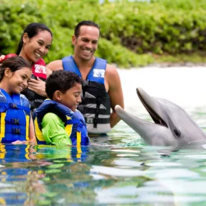 Ocean excursion focused on dolphin observation and exploration