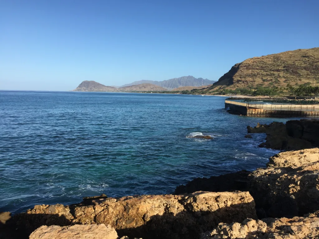Snorkelers exploring vibrant coral reefs at Electric Beach