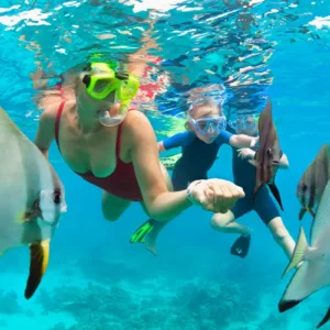 Two-stop snorkel tour exploring Mauna Kea’s coastal sealife