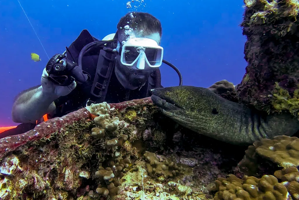 Scuba diver exploring vibrant coral reefs underwater