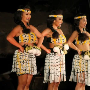 Guests enjoying traditional Hawaiian luau under evening sky