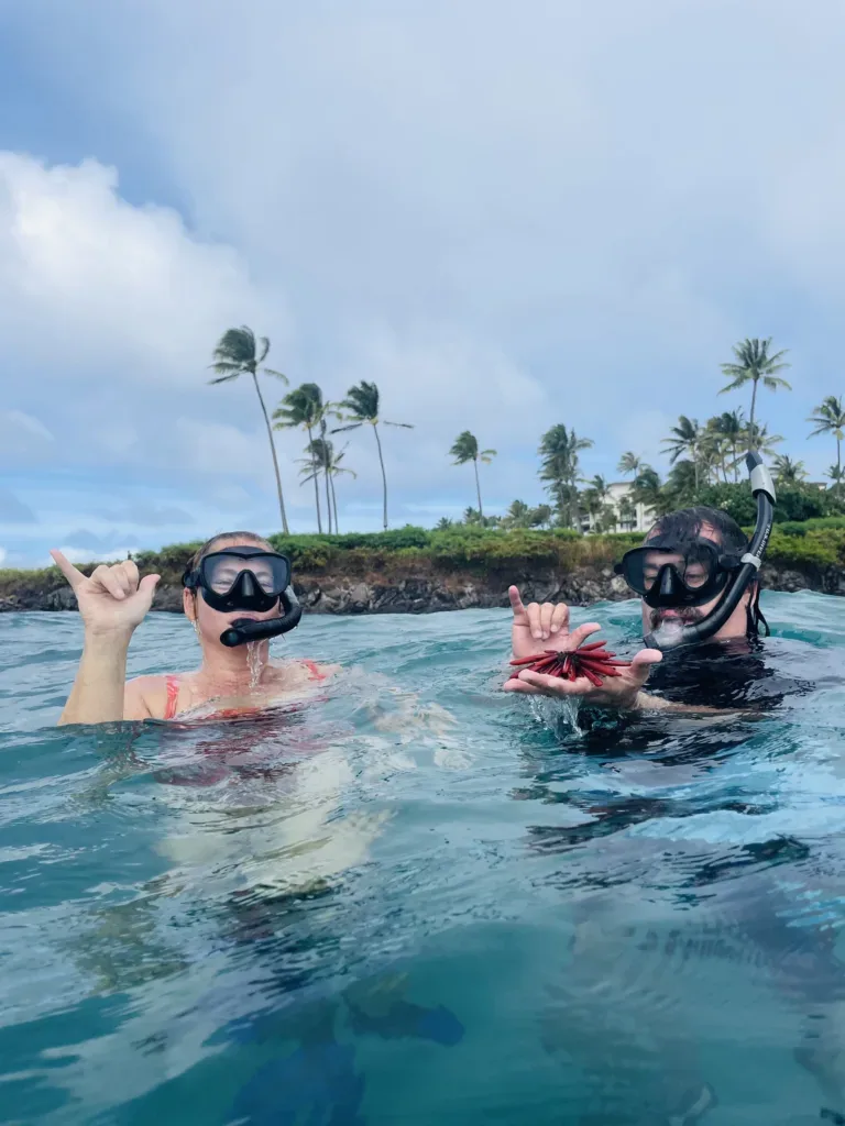 Snorkeling tour exploring marine life near Lahaina