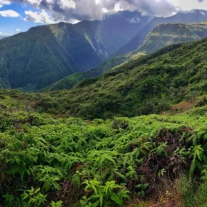 Hiking along the scenic North Shore ocean trails