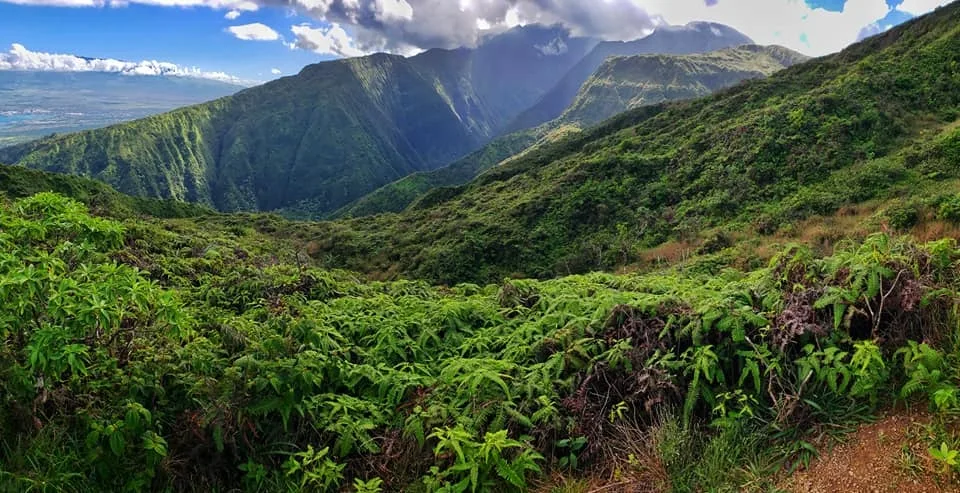 Hiking along the scenic North Shore ocean trails