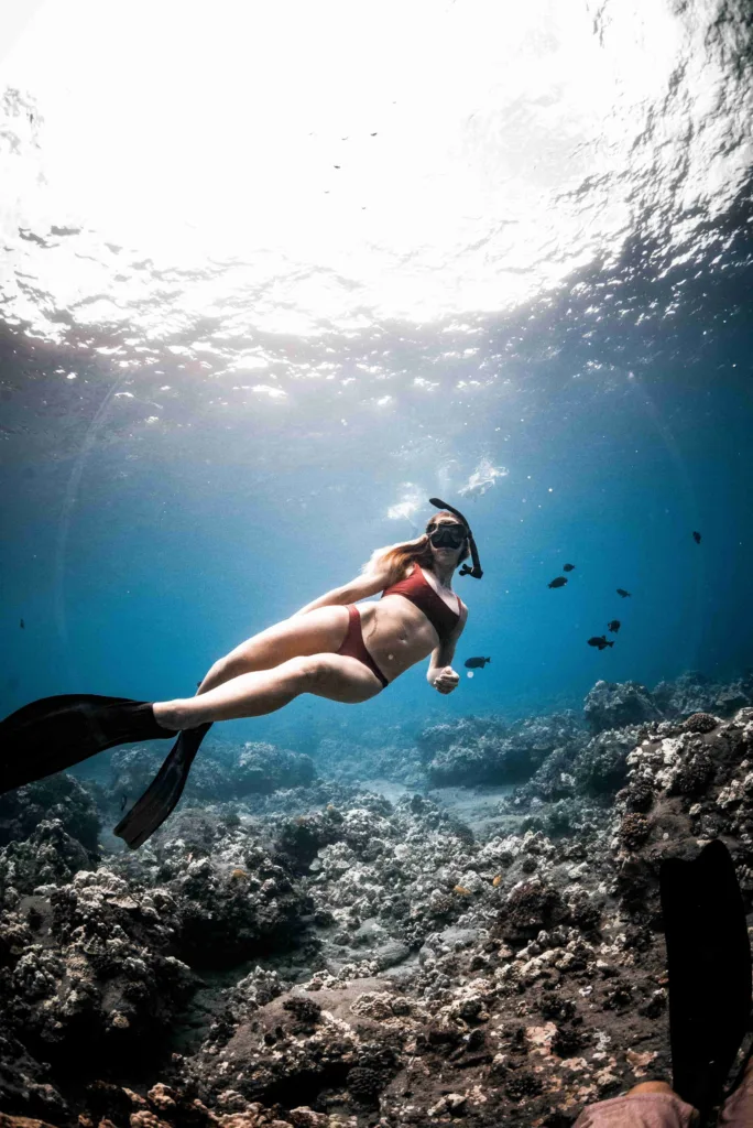 Morning snorkeling adventure in Maui’s clear waters