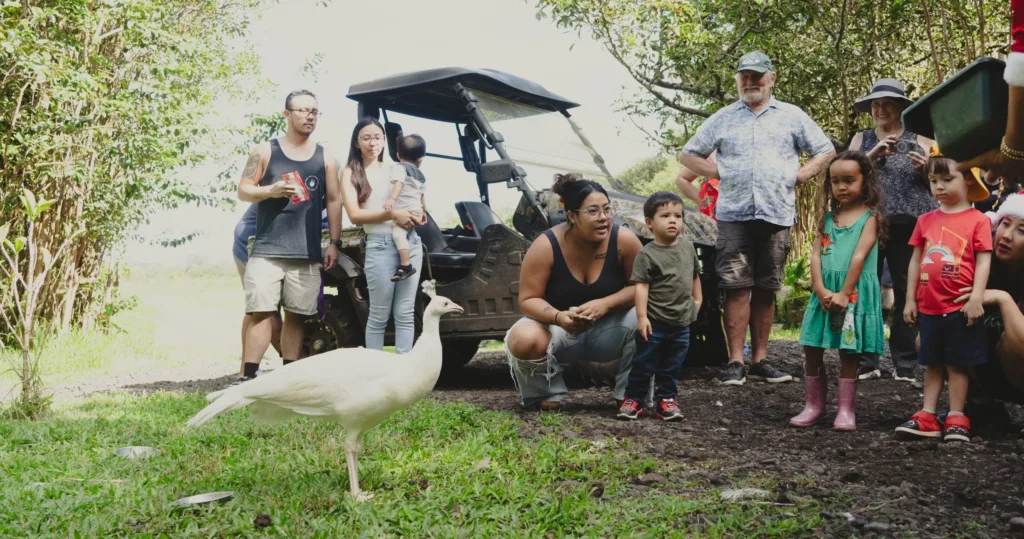 Visitors exploring ranch and interacting with friendly animals