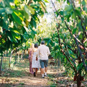 Visitors touring cacao farm surrounded by tropical trees