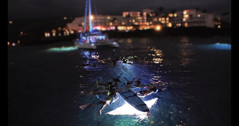 Visitors admiring Big Island waterfalls during daytime tour