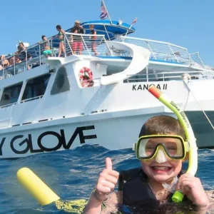 Scenic circle island tour with land and sea views