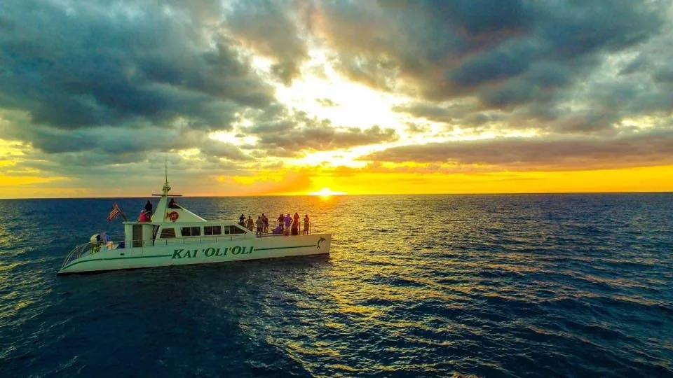 Private sunset cruise with dolphin watching and snorkeling