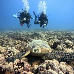 Beginner scuba diving experience exploring underwater wonders