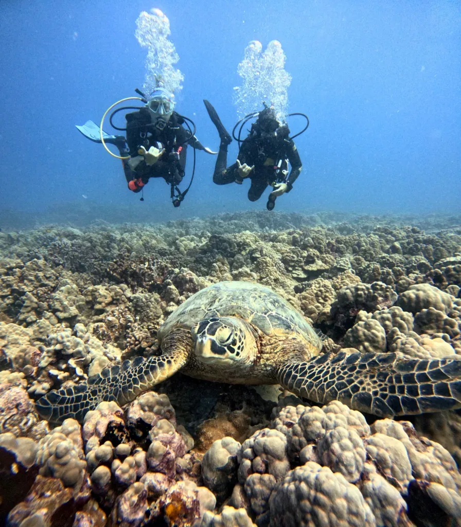 Beginner scuba diving experience exploring underwater wonders