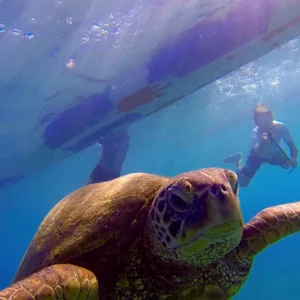 Snorkelers boarding traditional outrigger canoe for tour