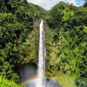Tour group admiring Akaka Falls surrounded by lush greenery