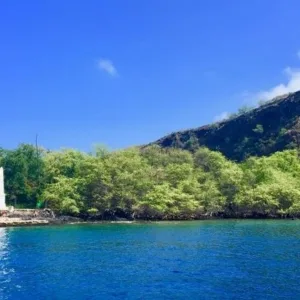Couple enjoying a private snorkeling tour in clear waters