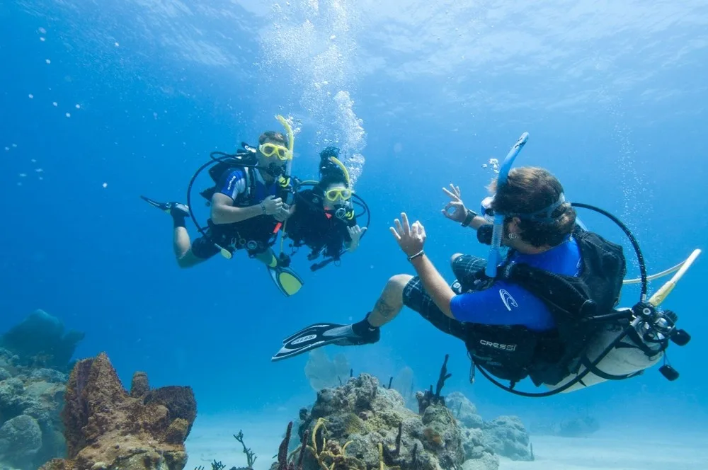 Scuba diver exploring vibrant coral reefs near Electric Beach